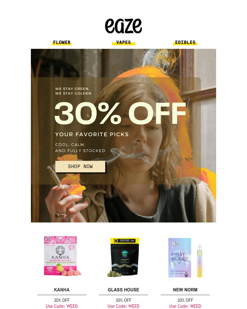 Screenshot of email with subject /media/emails/slides-discount-into-your-email-2deef2-cropped-838fb81e.jpg