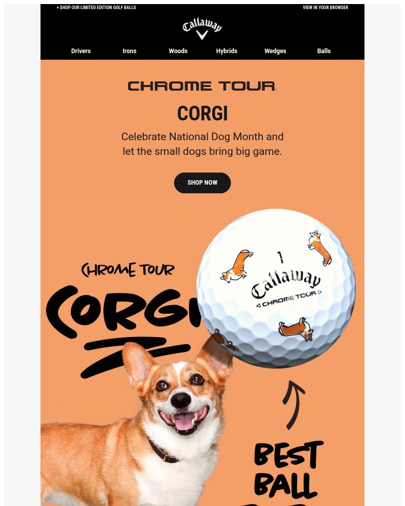 Screenshot of email with subject /media/emails/small-dogs-big-game-meet-chrome-tour-corgi-8c5b91-cropped-558aa4f6.jpg