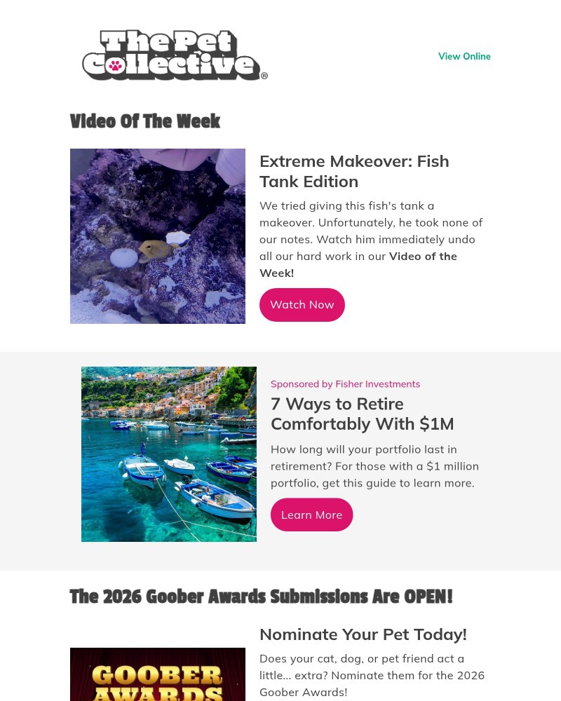 Screenshot of email with subject /media/emails/small-dogs-with-big-attitude-funny-compilation-f24a0c-cropped-e27b94fa.jpg