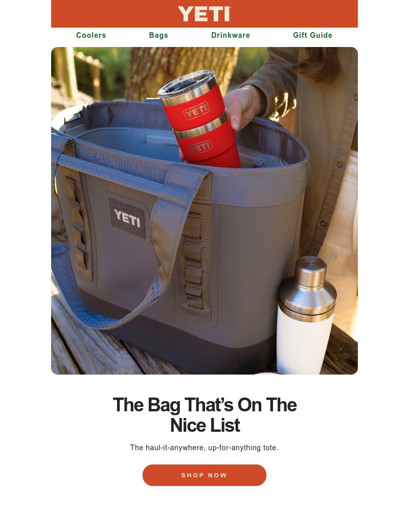 Screenshot of email with subject /media/emails/snag-a-camino-carryall-052077-cropped-5681fa65.jpg