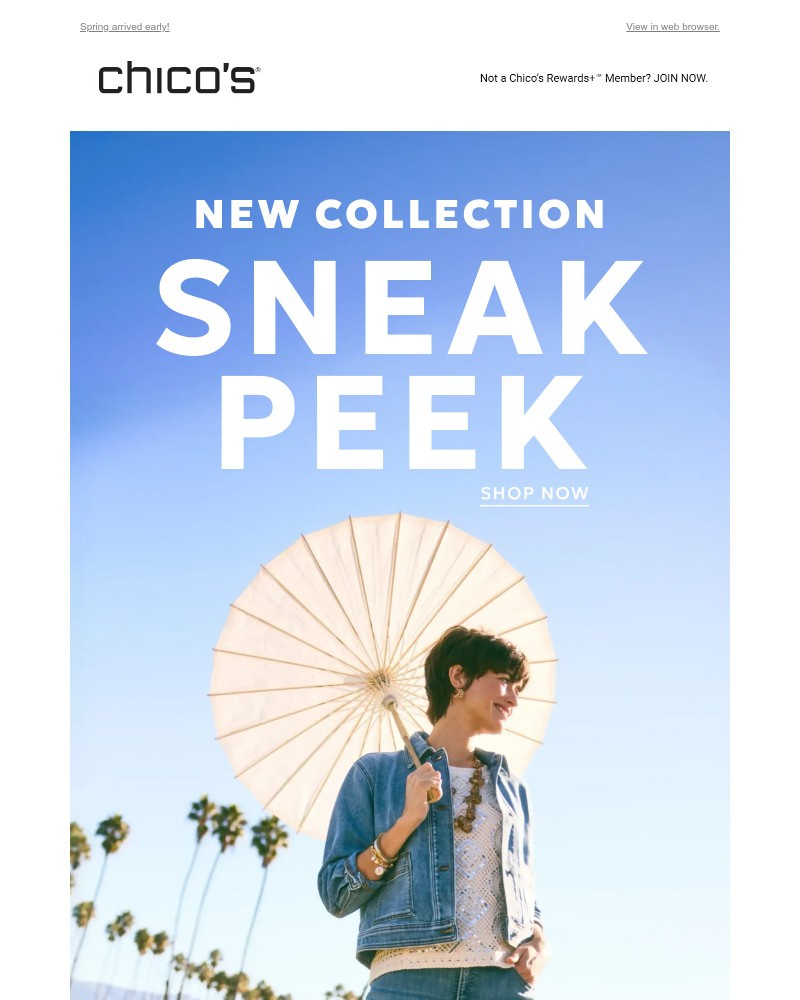 Screenshot of email with subject /media/emails/sneak-peek-13f88e-cropped-7a1d0854.jpg