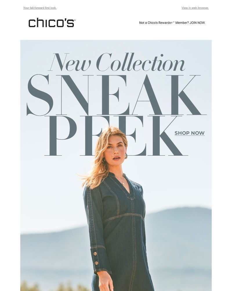 Screenshot of email with subject /media/emails/sneak-peek-ec69e3-cropped-0534b47e.jpg