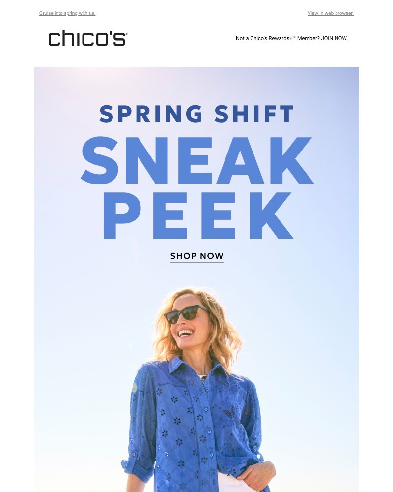 Screenshot of email with subject /media/emails/sneak-peek-eff9f4-cropped-757fd605.jpg