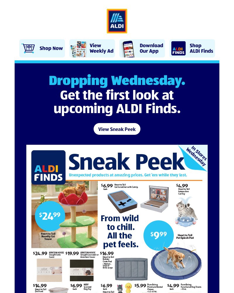 Screenshot of email with subject /media/emails/sneak-peek-upcoming-aldi-finds-4f7e6b-cropped-b02ff167.jpg