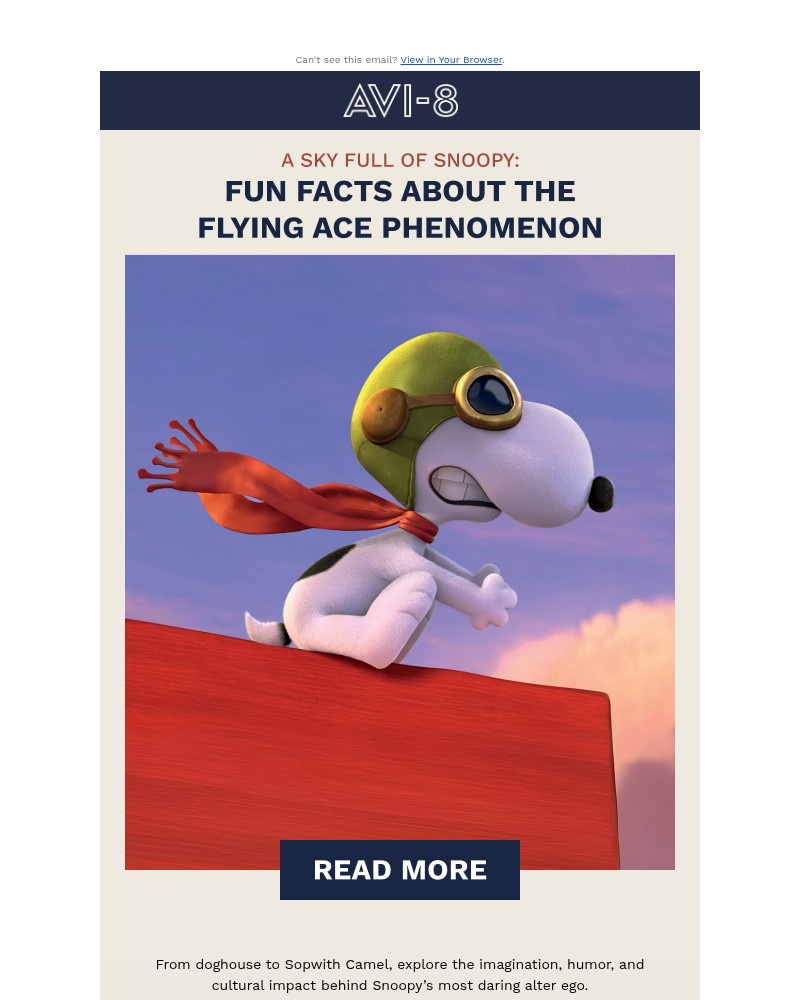 Screenshot of email sent to a AVI-8 Newsletter subscriber