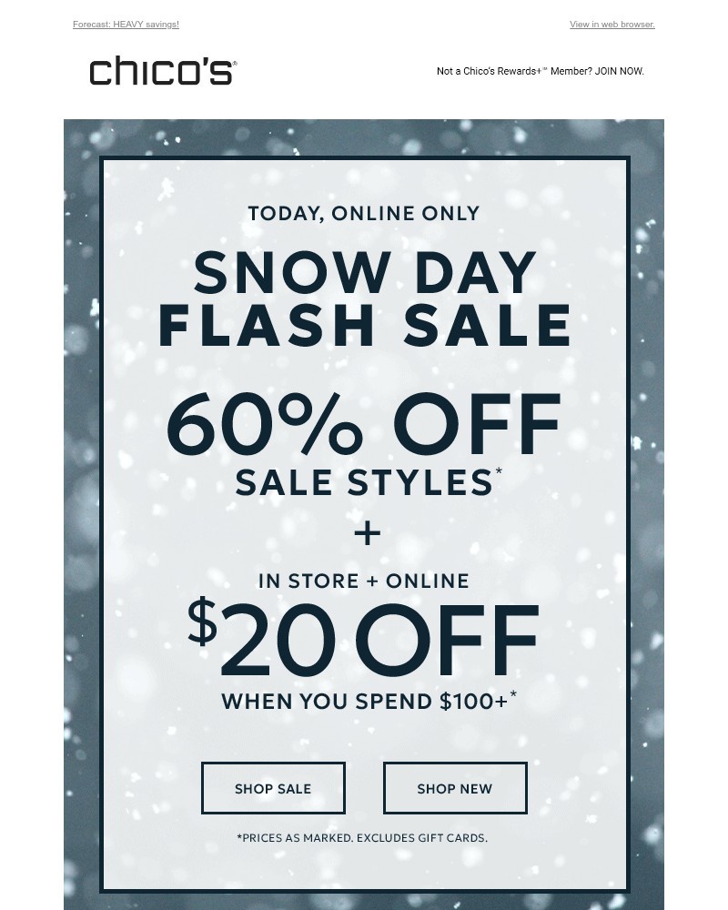 Screenshot of email with subject /media/emails/snow-day-60-off-sale-styles-20-50-off-05f7ee-cropped-98c0b94a.jpg