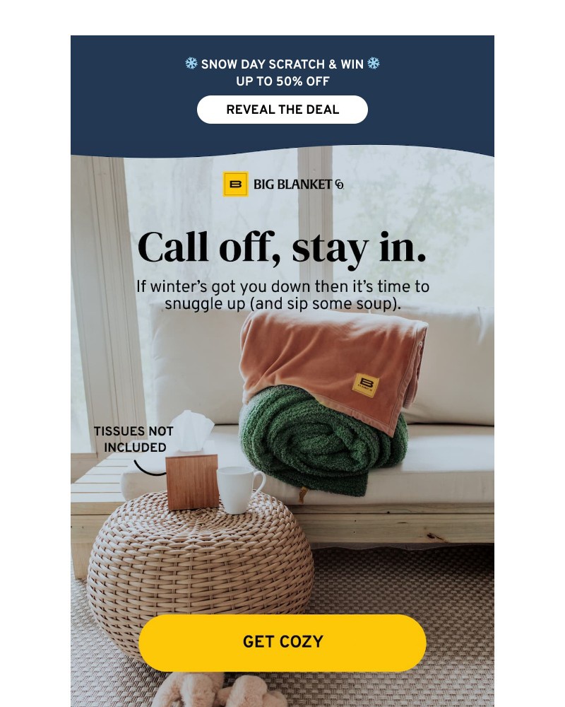 Screenshot of email with subject /media/emails/snow-day-essentials-0cf38f-cropped-597cd3bf.jpg