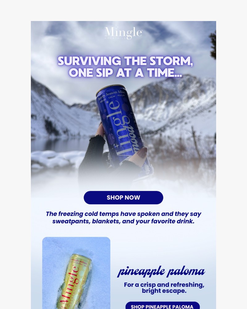 Screenshot of email with subject /media/emails/snow-day-essentials-8889a7-cropped-4cf55b45.jpg