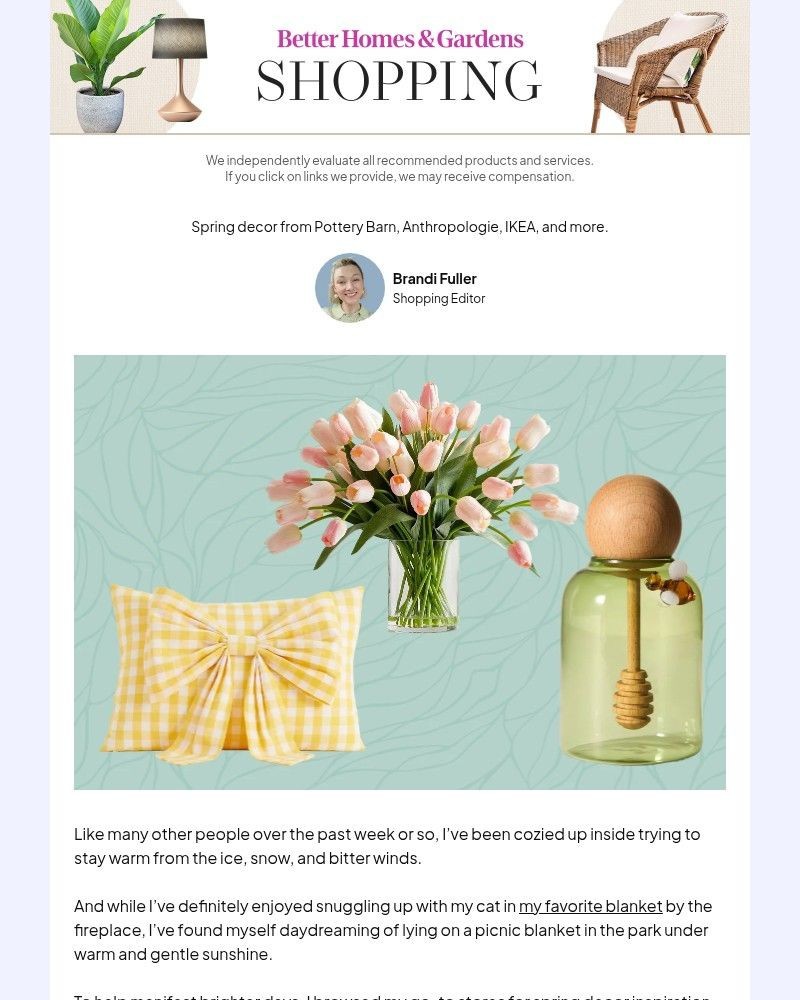 Screenshot of email with subject /media/emails/snow-is-covering-the-ground-but-im-covering-my-home-in-floralsshop-my-fave-spring_9bMxhfQ.jpg