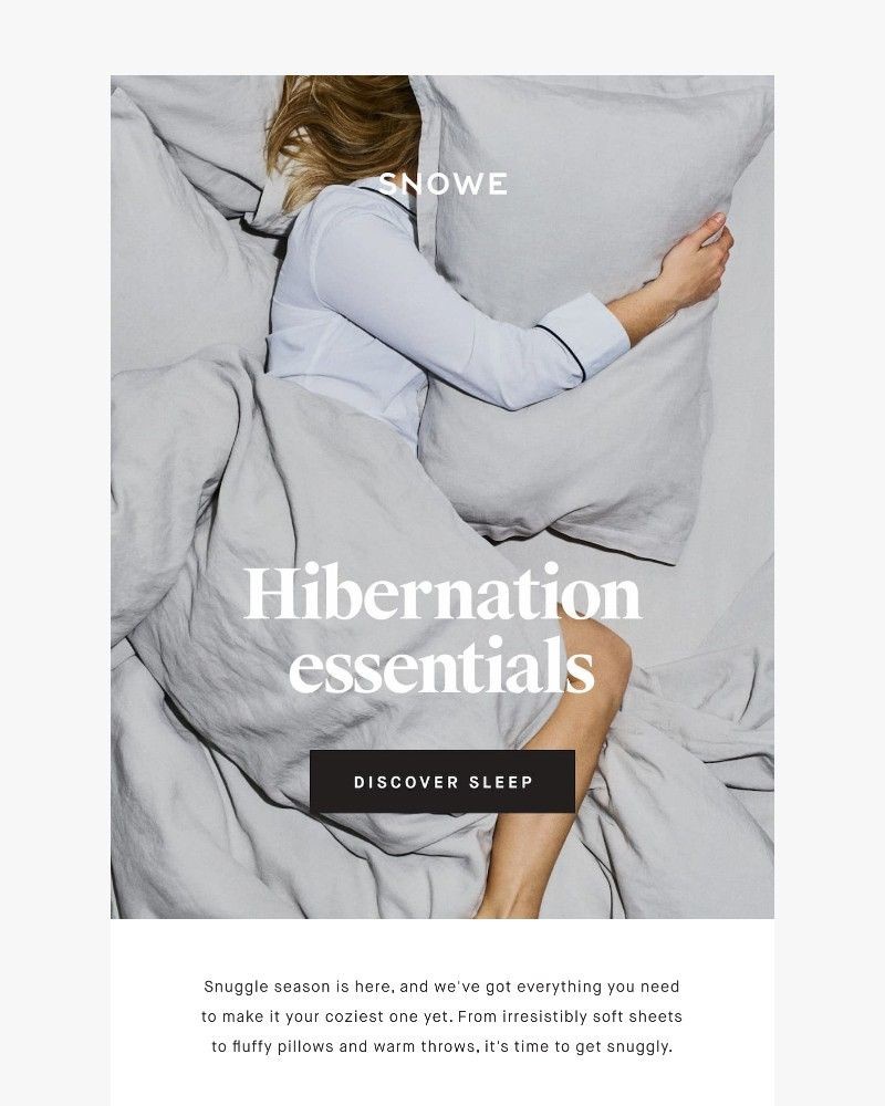 Screenshot of email with subject /media/emails/snuggle-season-2df7c9-cropped-2bb3f5ee.jpg