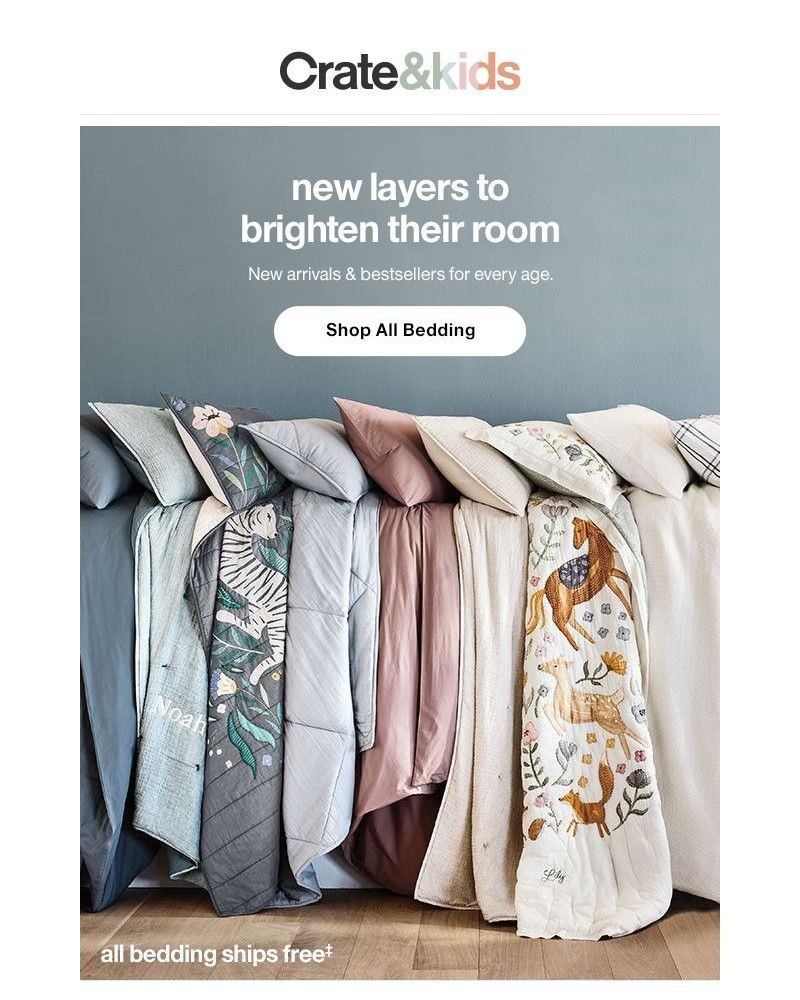 Screenshot of email with subject /media/emails/snuggle-up-cozy-bedding-starts-at-just-39-1d53b6-cropped-d297942e.jpg