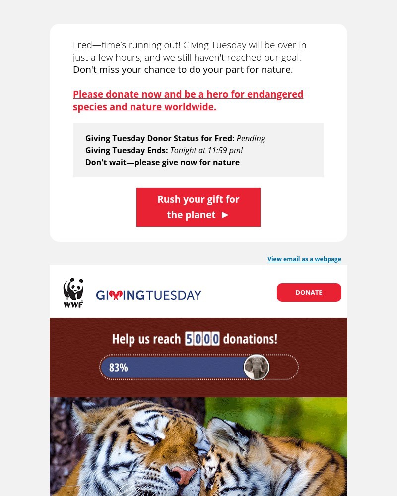 Screenshot of email with subject /media/emails/so-close-can-you-help-fred-4a6d65-cropped-1d24f499.jpg