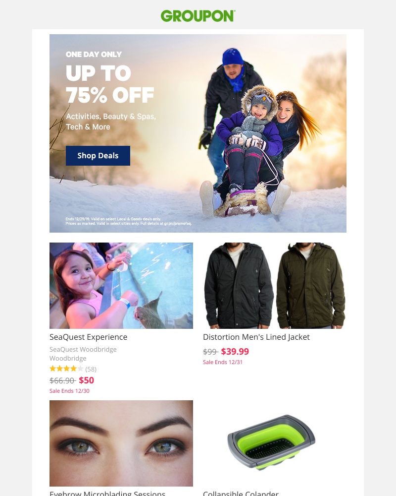 Screenshot of email with subject /media/emails/so-long-2019-hello-up-to-75-off-cropped-db1e8e49.jpg