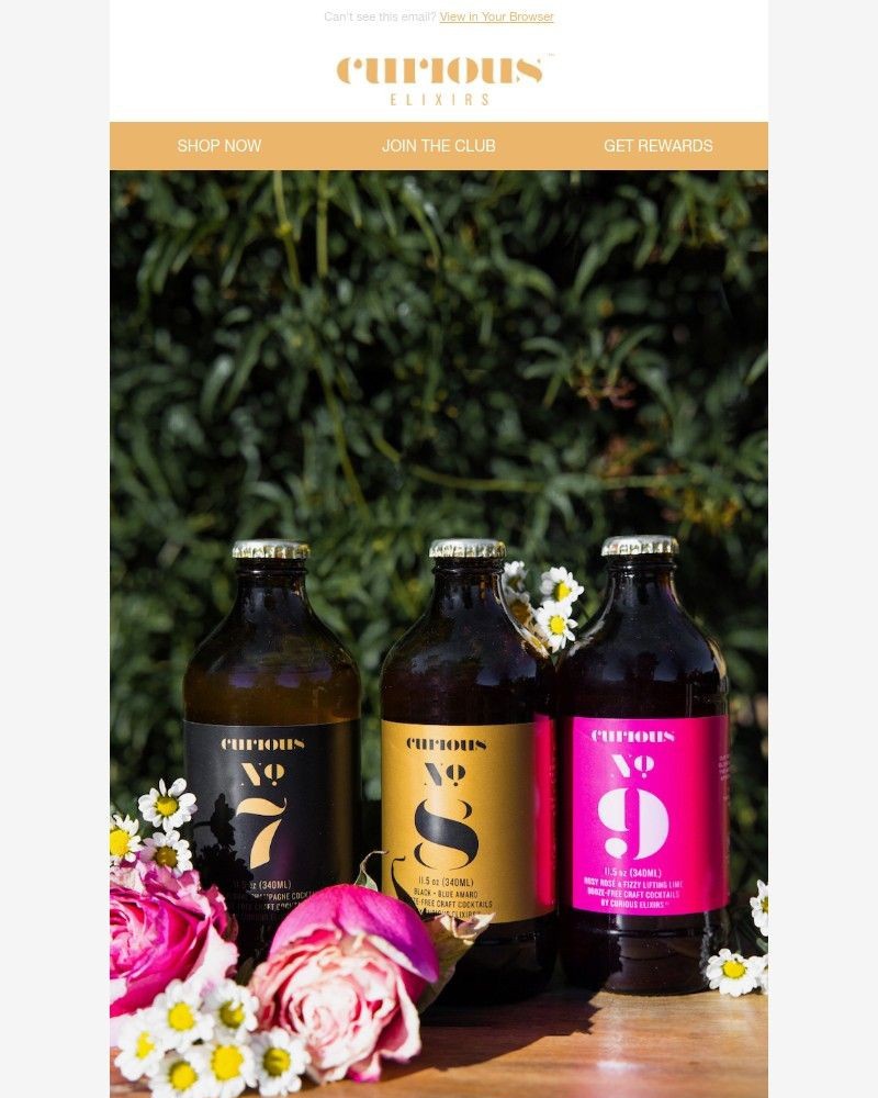 Screenshot of email with subject /media/emails/so-many-reasons-to-celebrate-1c1b6e-cropped-43d32e18.jpg