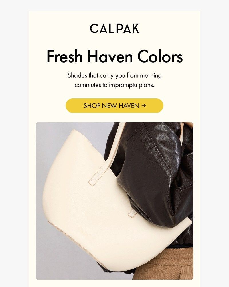 Screenshot of email with subject /media/emails/so-much-more-than-a-work-bag-7a28ae-cropped-2d83724c.jpg