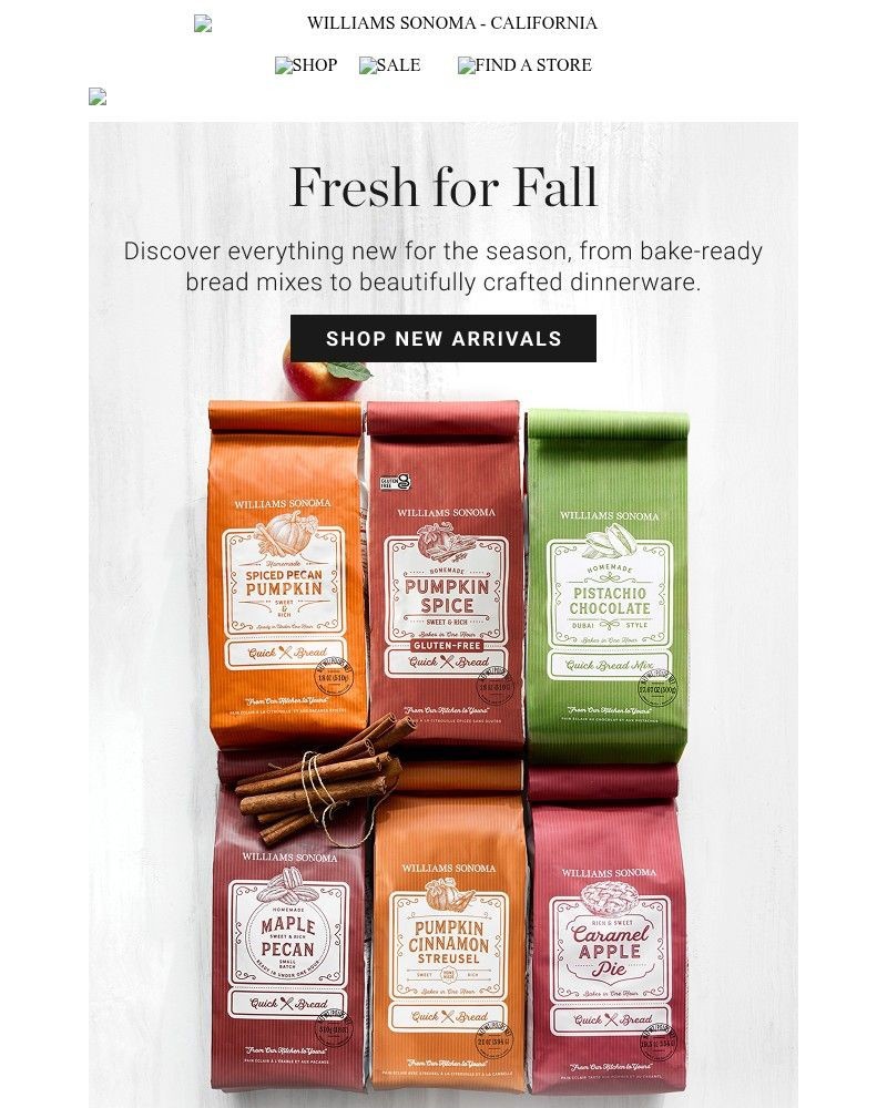 Screenshot of email with subject /media/emails/so-much-new-1b2d9e-cropped-2c740030.jpg