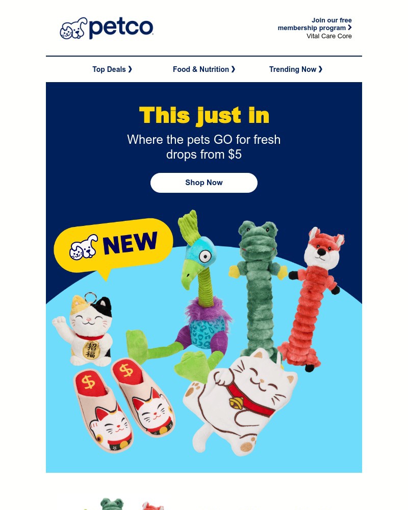 Screenshot of email with subject /media/emails/so-much-new-1bd203-cropped-8b8c1f91.jpg