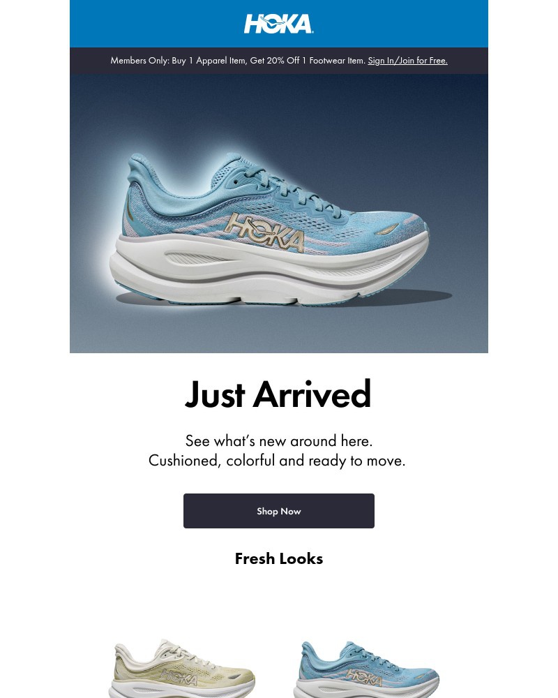 Screenshot of email with subject /media/emails/so-much-new-d388c5-cropped-977e0e01.jpg