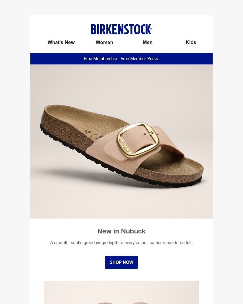 Screenshot of email with subject /media/emails/so-smooth-you-need-to-feel-this-leather-a6b73c-cropped-c737466a.jpg