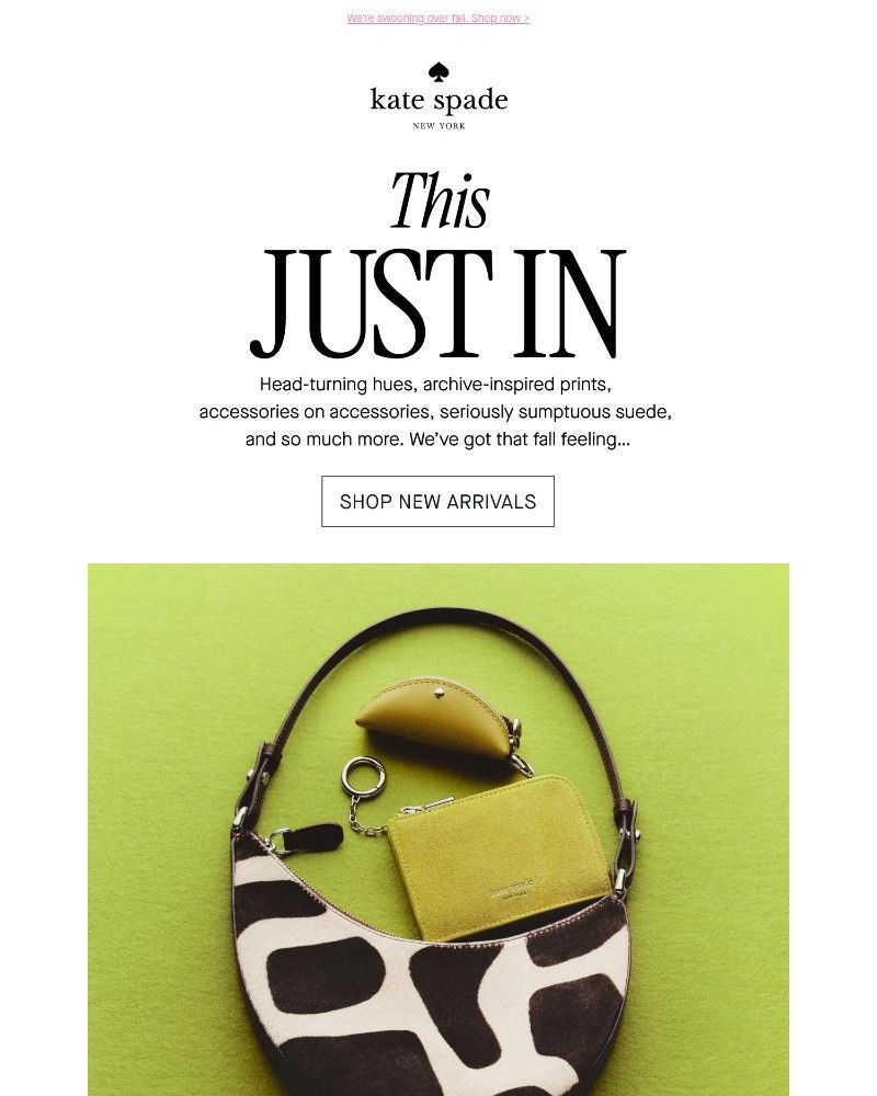 Screenshot of email with subject /media/emails/so-so-so-many-new-arrivals-a446d7-cropped-626d2c68.jpg