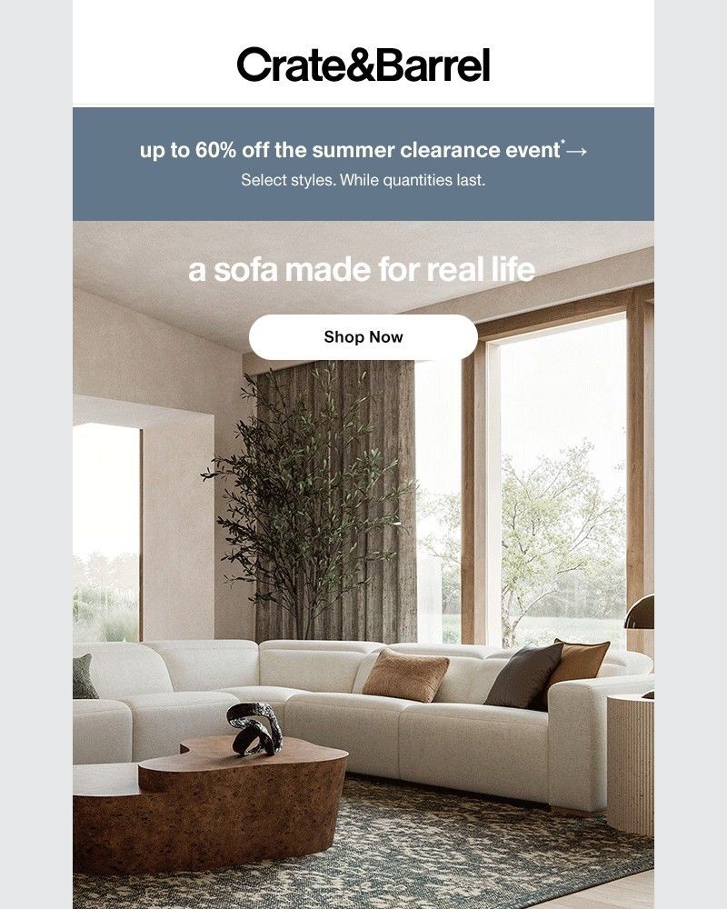 Screenshot of email with subject /media/emails/sofas-made-to-stand-up-to-real-life-1583e0-cropped-3c50ae39.jpg