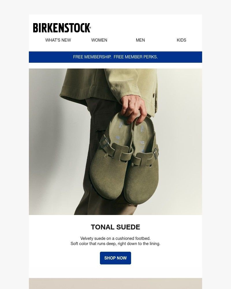 Screenshot of email with subject /media/emails/soft-color-that-runs-deep-new-tonal-suede-dd6a23-cropped-275027ed.jpg