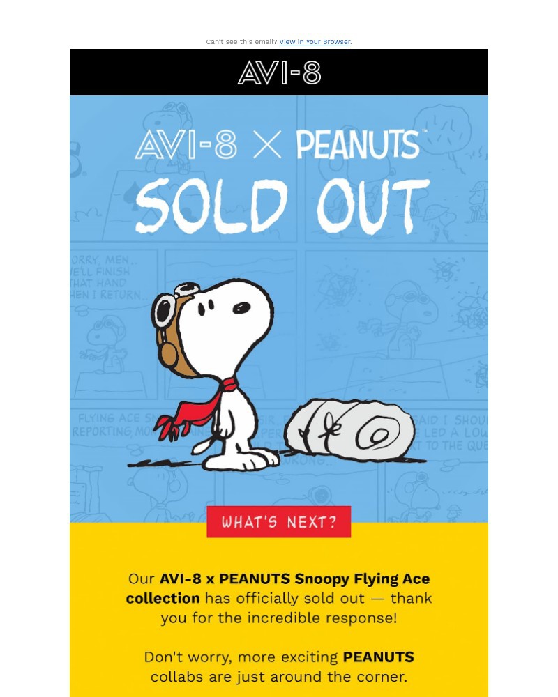 Screenshot of email with subject /media/emails/sold-out-snoopy-has-taken-off-1059d2-cropped-31014da6.jpg