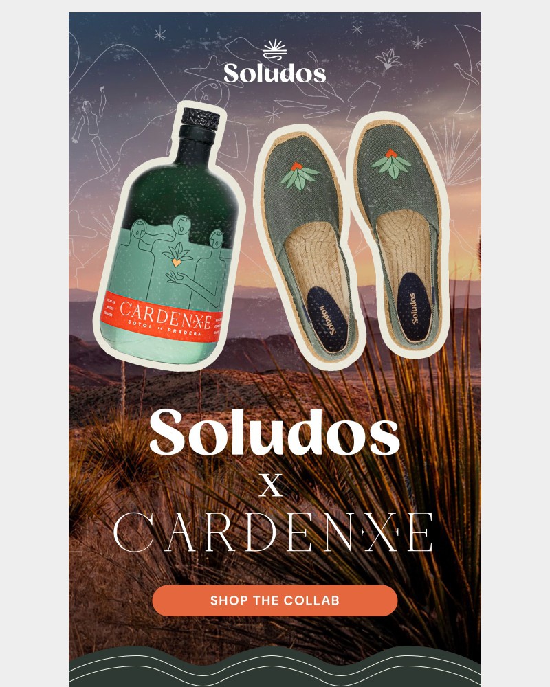 Screenshot of email sent to a Soludos Registered user