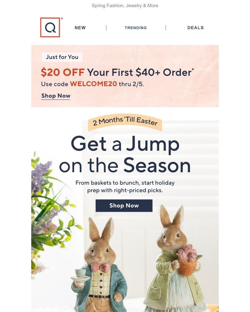 Screenshot of email with subject /media/emails/some-bunny-loves-a-sale-512933-cropped-ef6790b3.jpg