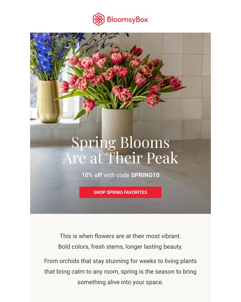 Screenshot of email sent to a Chococurb Newsletter subscriber