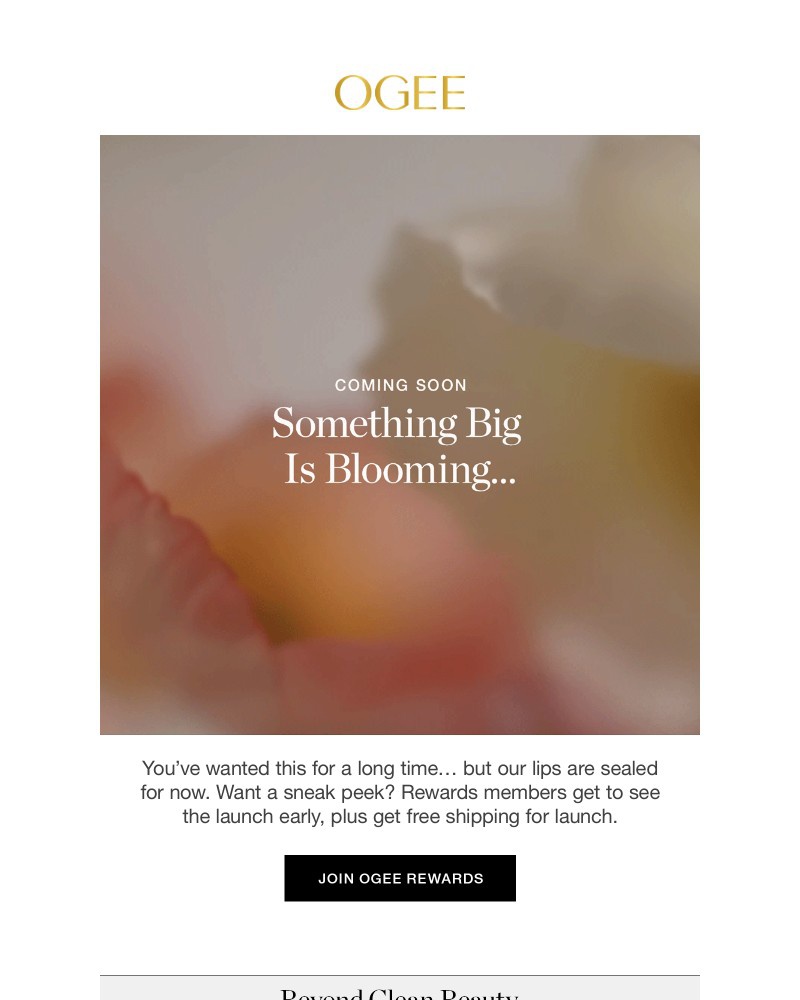 Screenshot of email with subject /media/emails/something-big-is-blooming-7c99ad-cropped-c161aa33.jpg