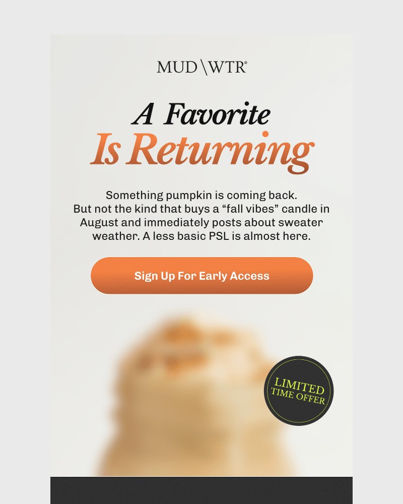 Screenshot of email sent to a MUD/WTR Newsletter subscriber