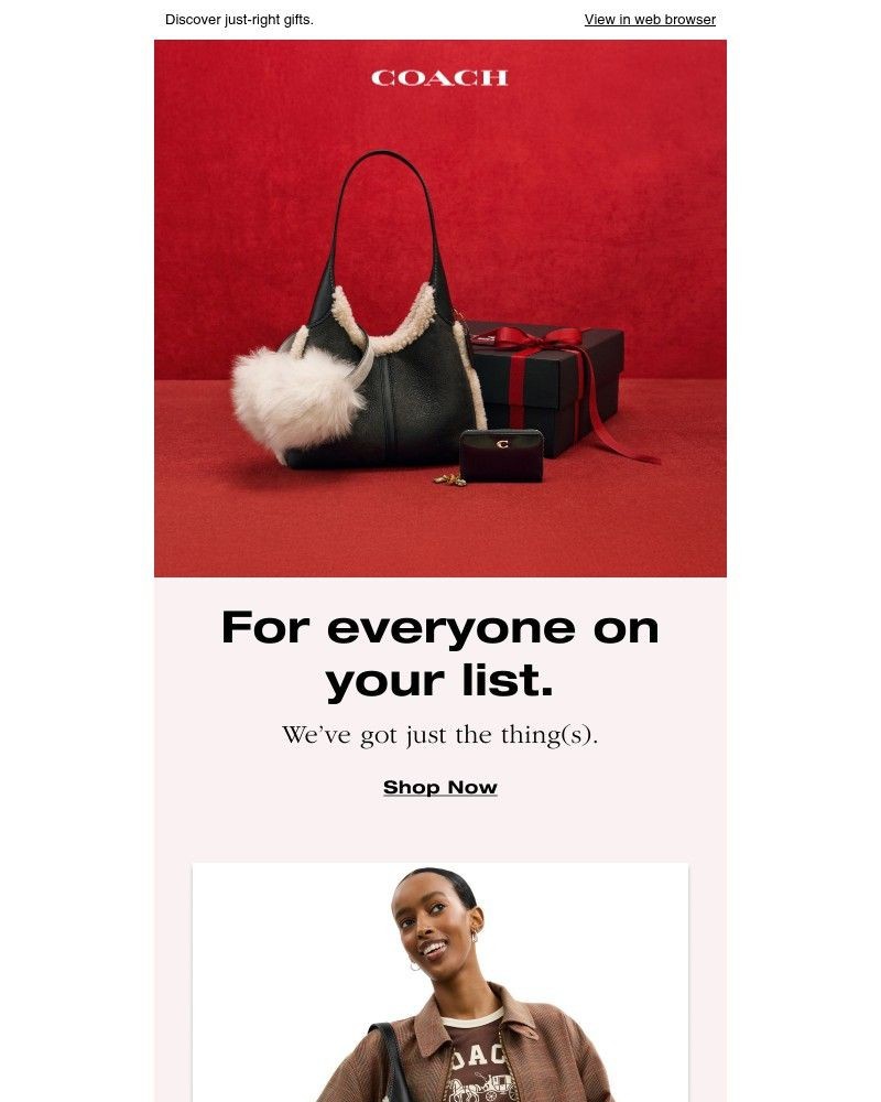 Screenshot of email with subject /media/emails/something-for-everyone-6a107d-cropped-6c0eb2dc.jpg