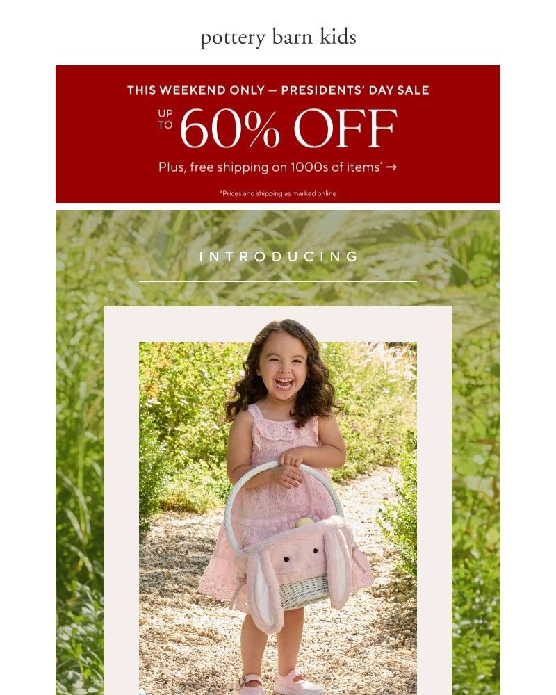 Screenshot of email sent to a Pottery Barn Newsletter subscriber
