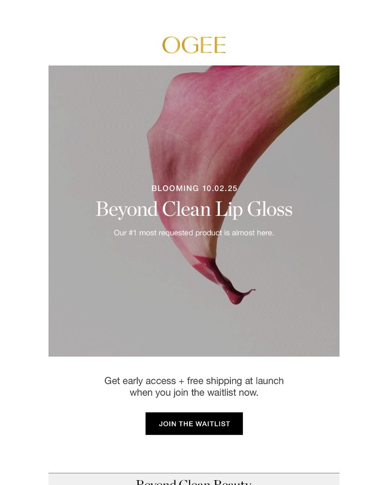 Screenshot of email with subject /media/emails/something-new-blooming-soon-0d71c9-cropped-dff4270e.jpg