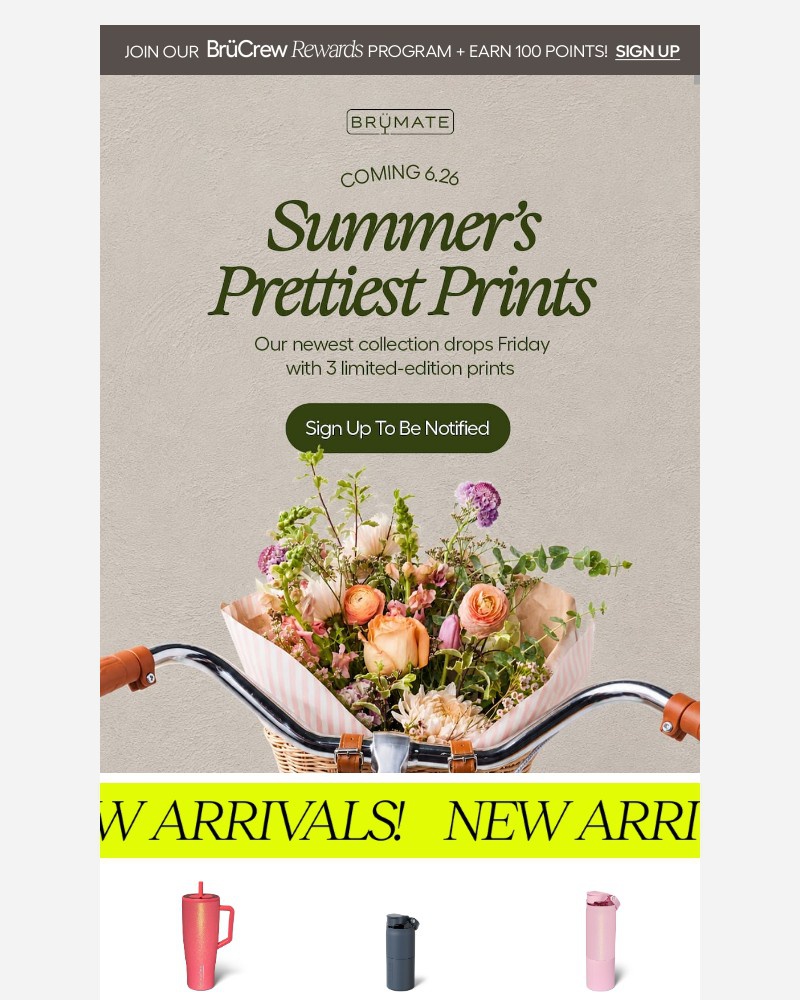 Screenshot of email with subject /media/emails/something-new-is-blooming-6aba33-cropped-9a26b690.jpg