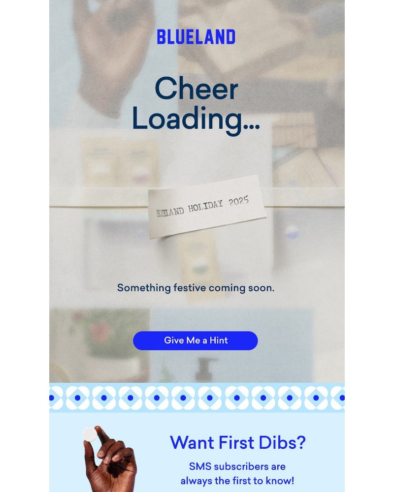 Screenshot of email sent to a Blueland Newsletter subscriber