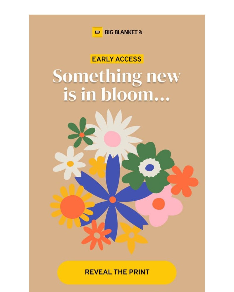 Screenshot of email with subject /media/emails/something-new-is-in-bloom-e6642d-cropped-e24dba1a.jpg