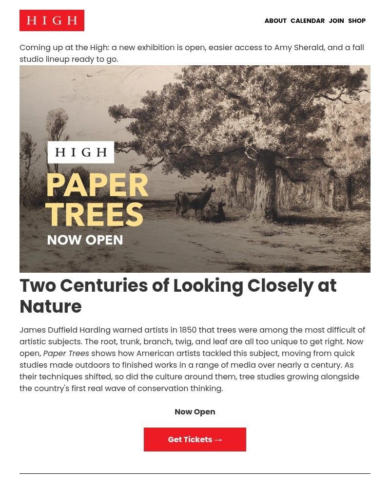 Screenshot of email sent to a High Museum of Art Newsletter subscriber