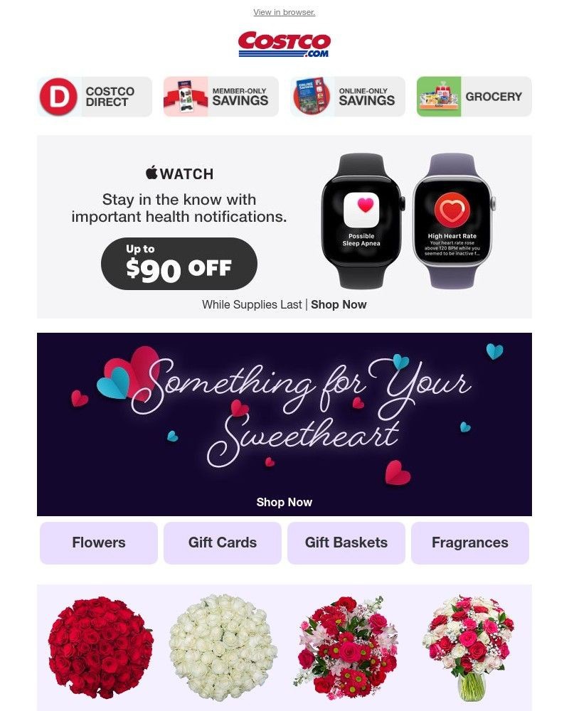 Screenshot of email sent to a Costco Newsletter subscriber