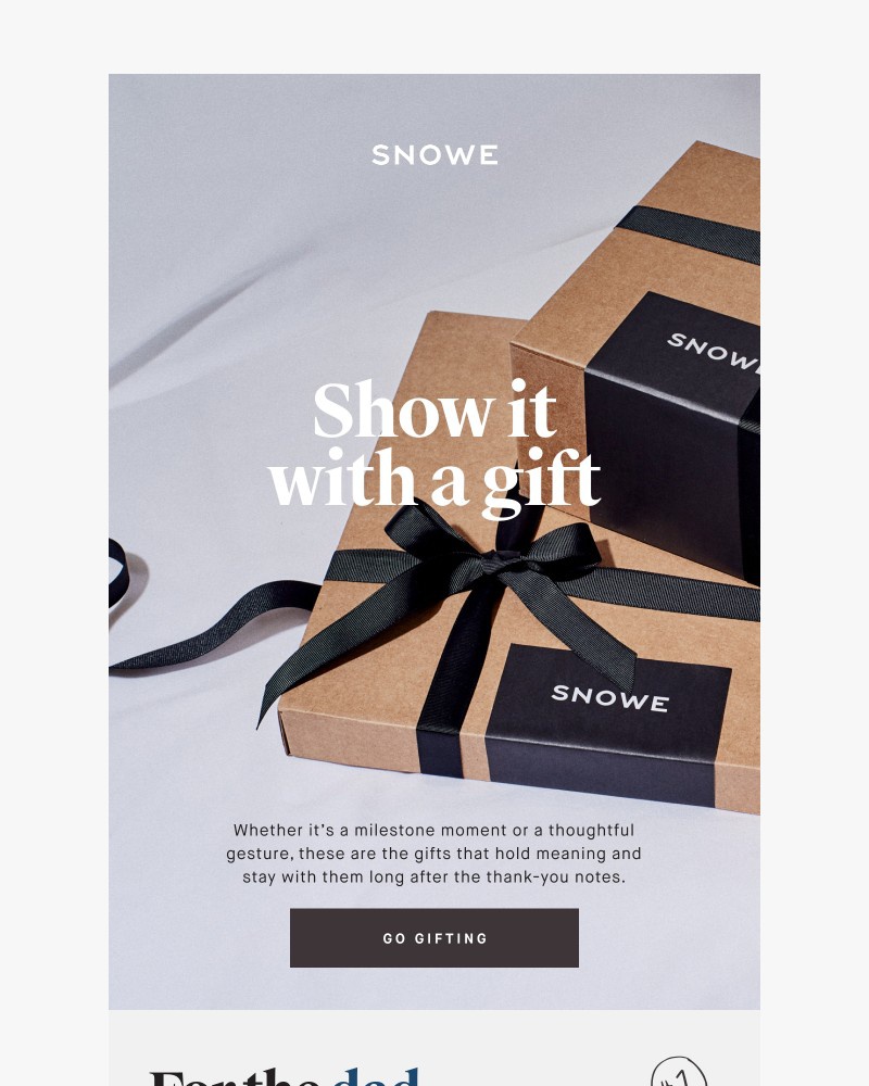 Screenshot of email sent to a Snowe Newsletter subscriber