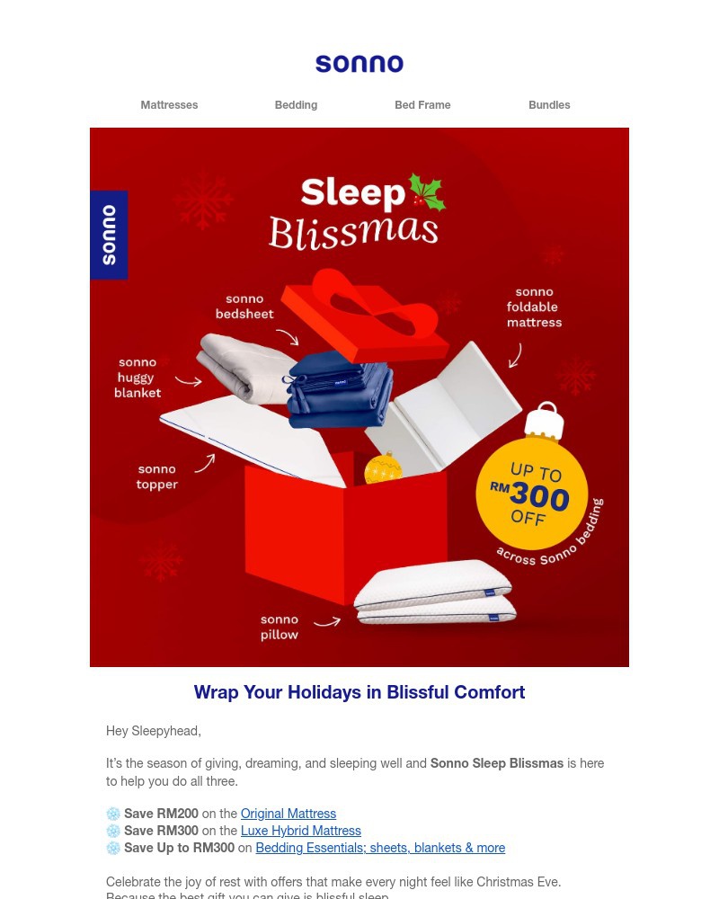 Screenshot of email sent to a Sonno Newsletter subscriber