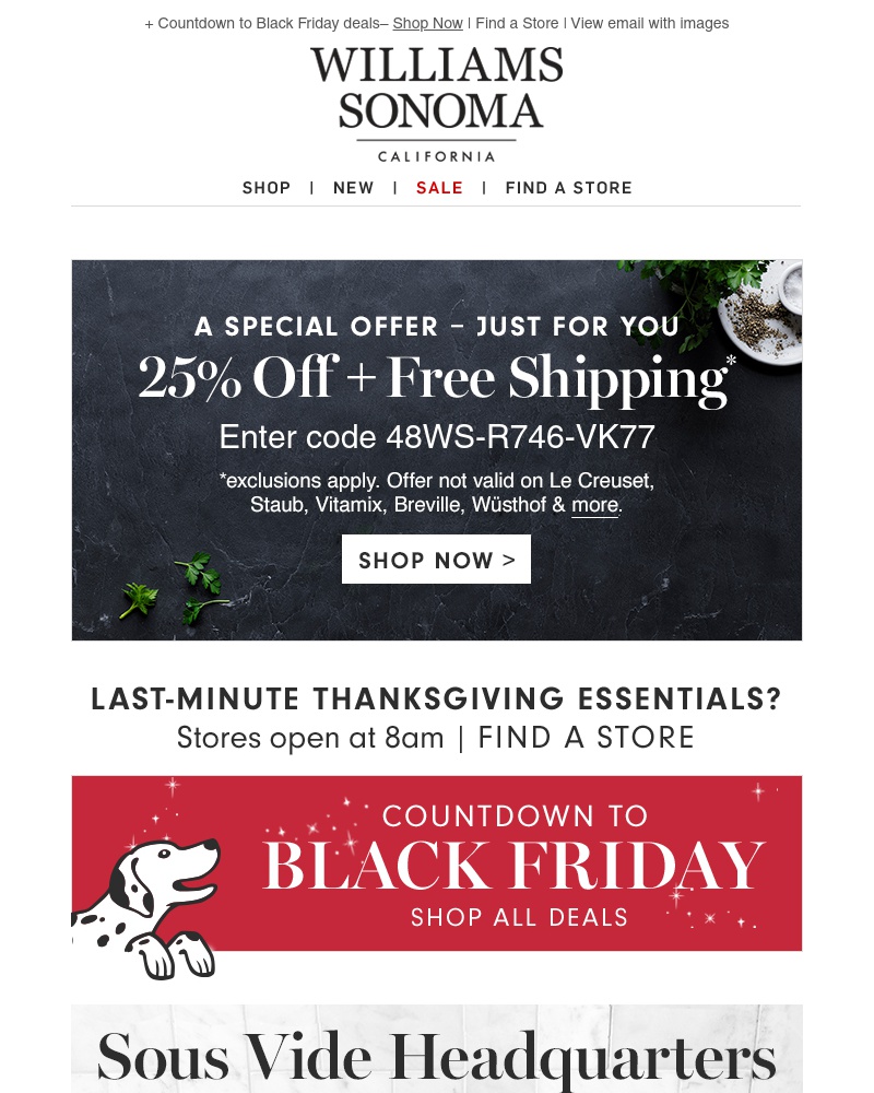Screenshot of email with subject /media/emails/sous-vide-101-tools-tips-recipes-to-try-anova-sale-1-cropped-ac38d998.jpg