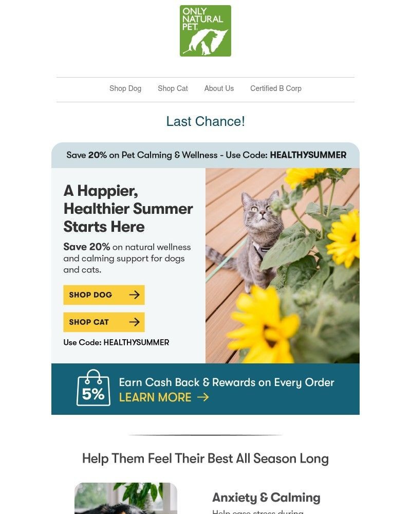 Screenshot of email with subject /media/emails/spa-summer-calming-wellness-is-20-off-87b5e1-cropped-a97e7081.jpg