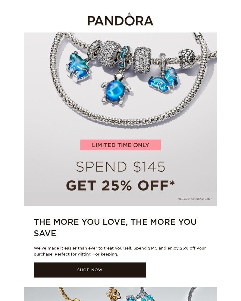 Screenshot of email with subject /media/emails/spend-145-get-25-off-dadd18-cropped-ca99e2df.jpg