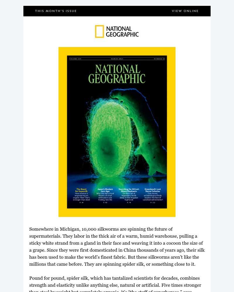 Screenshot of email sent to a National Geographic Newsletter subscriber