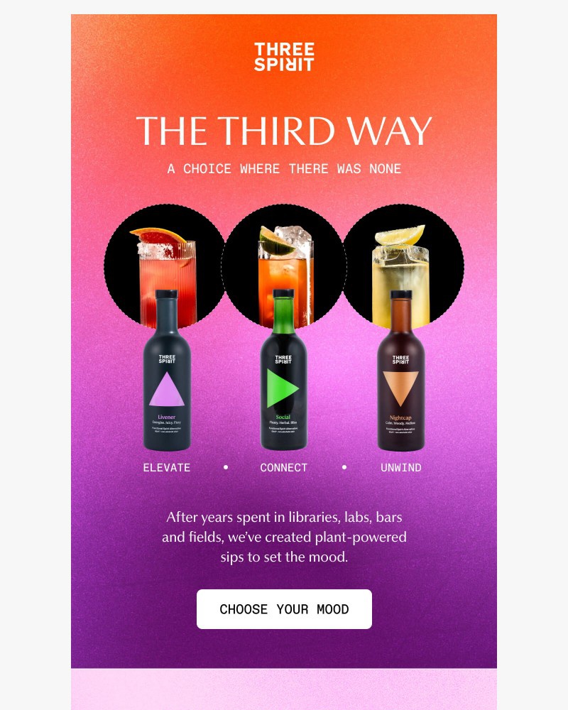 Screenshot of email sent to a Three Spirit Newsletter subscriber