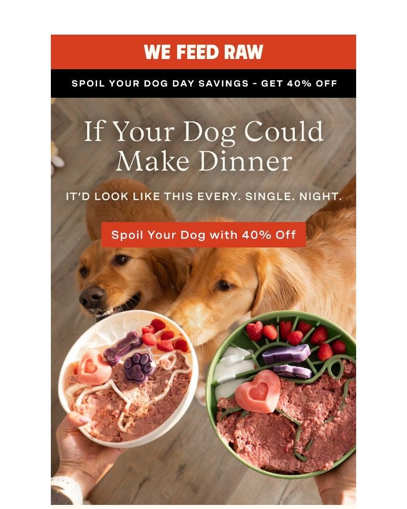 Screenshot of email sent to a We Feed Raw Newsletter subscriber