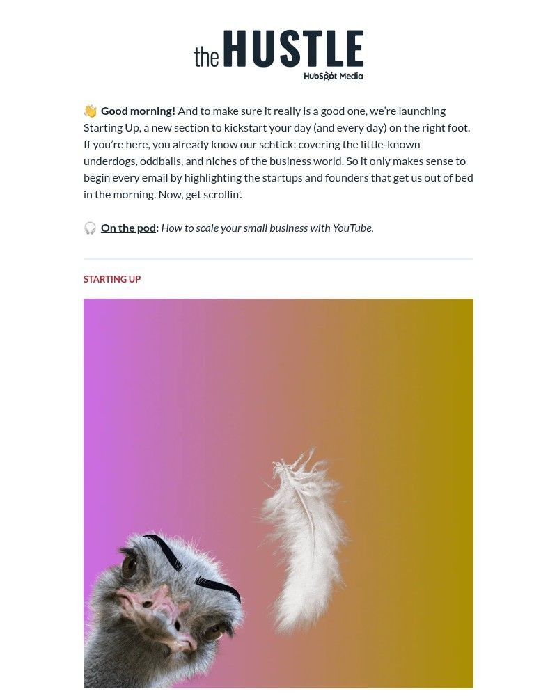 Screenshot of email with subject /media/emails/sports-merch-you-can-drink-8b51fa-cropped-3b15c38f.jpg