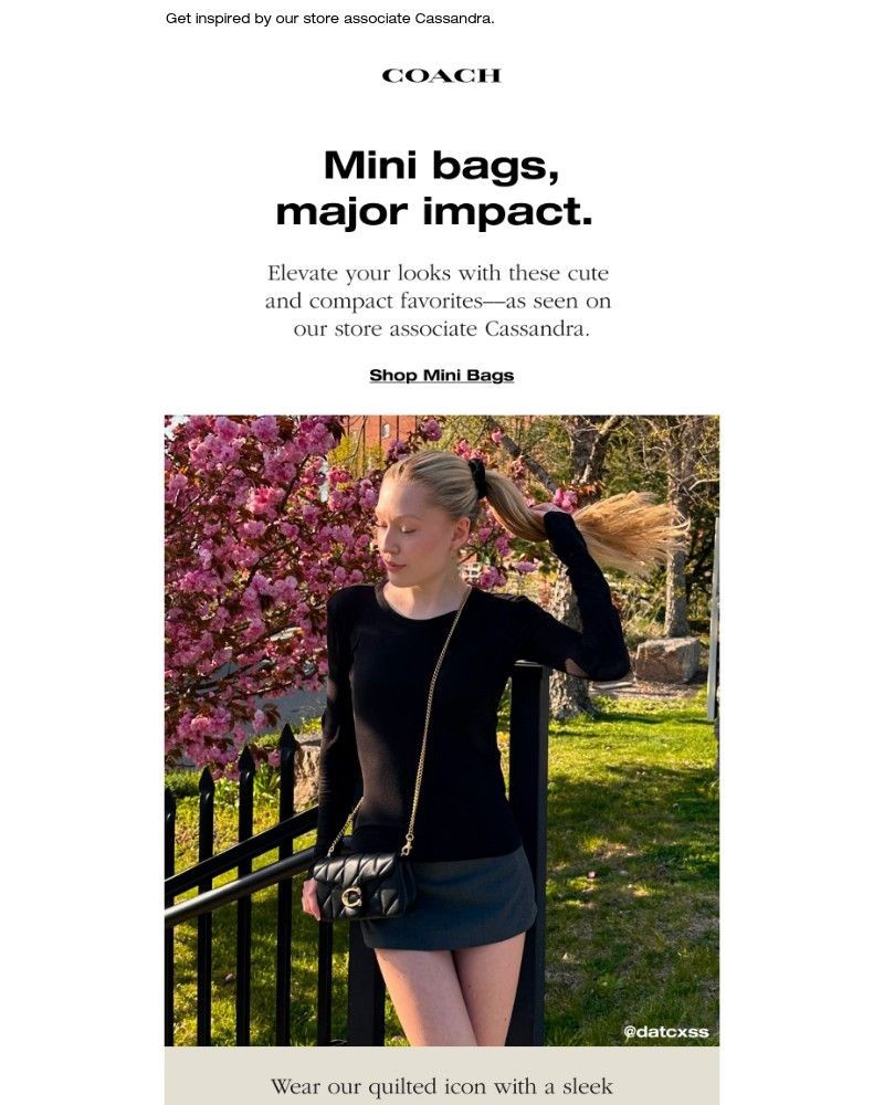 Screenshot of email with subject /media/emails/spotlight-on-mini-bags-0c3645-cropped-253e51cc.jpg
